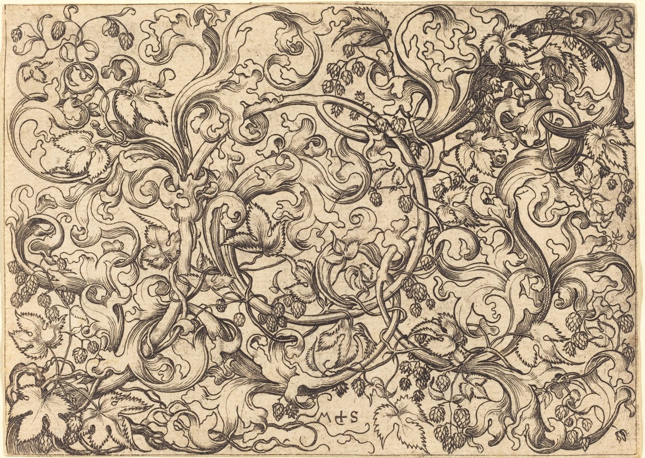 Prydnad med Hop Vine av Martin Schongauer