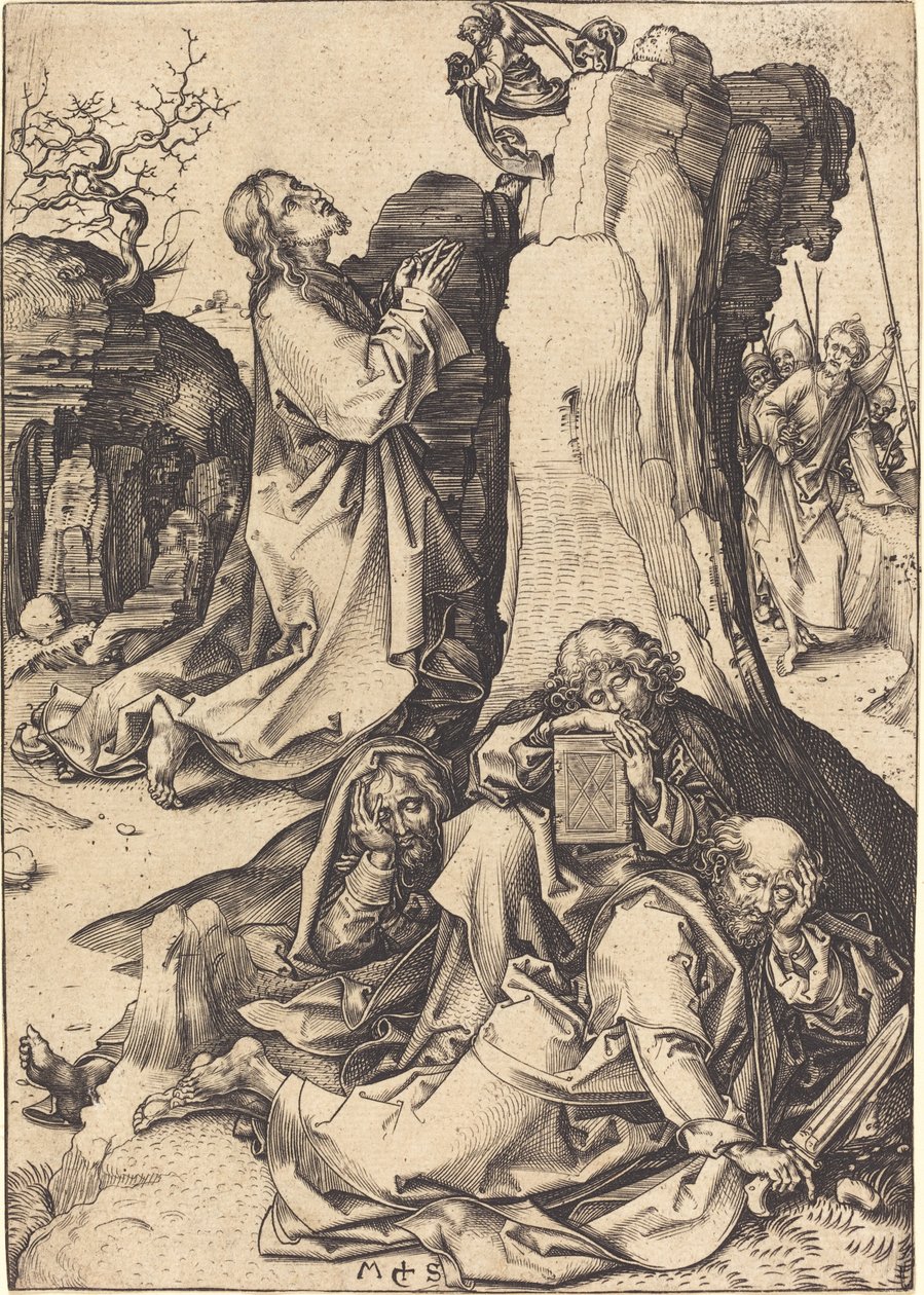 Kval i trädgården av Martin Schongauer