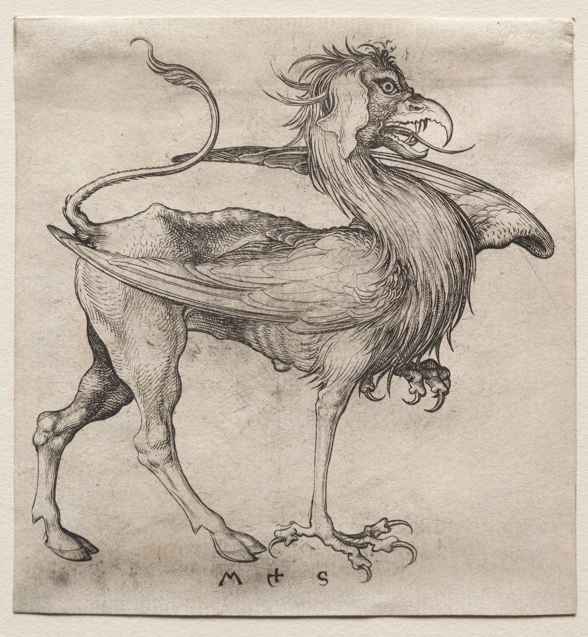 The Griffin, 1400-talet. av Martin Schongauer