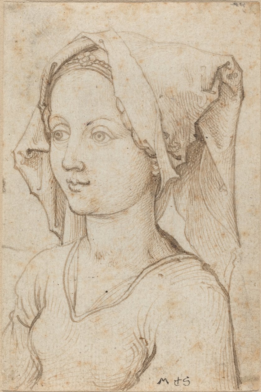 Ung kvinna som bär en halsduk av Martin Schongauer