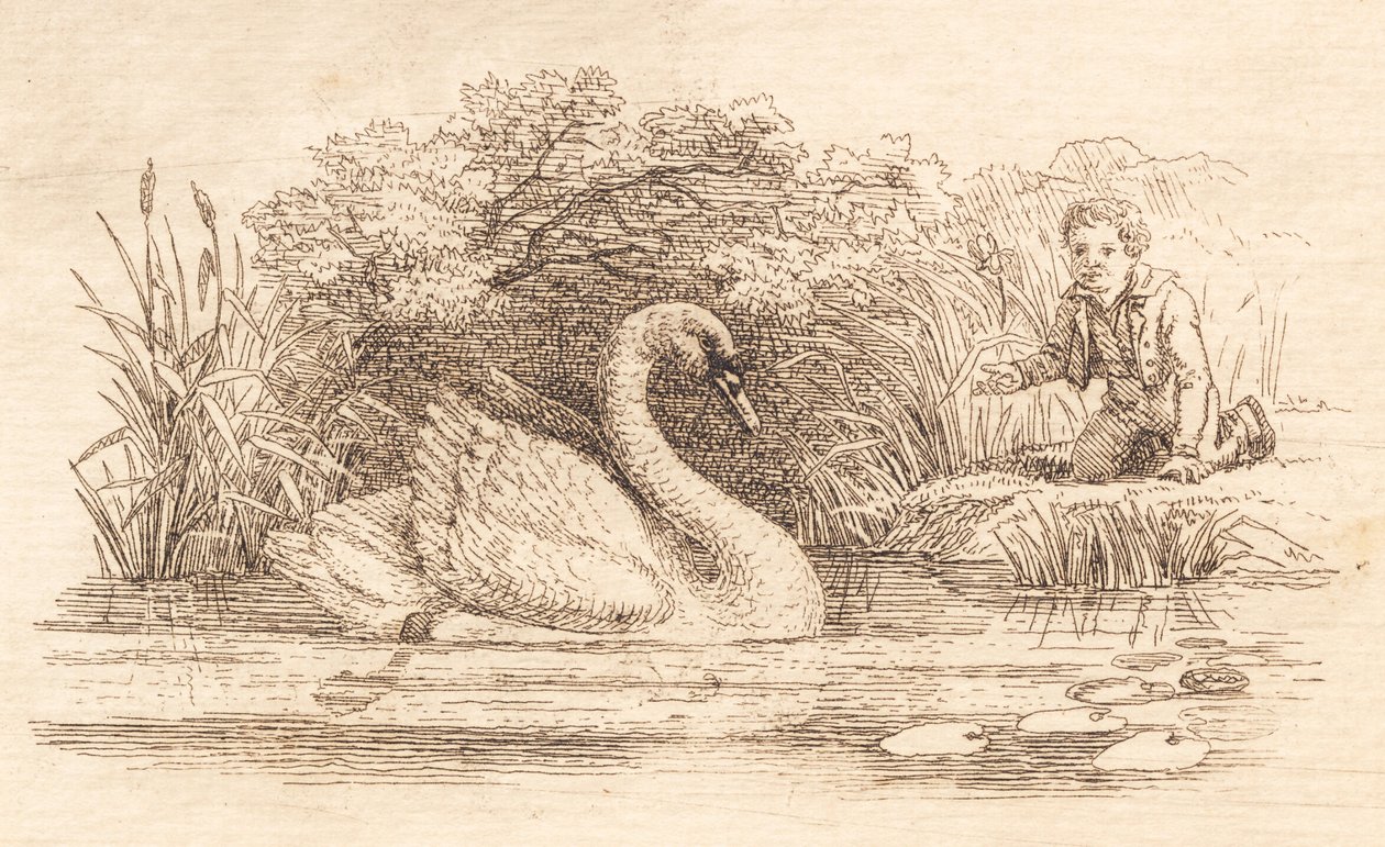 Illustration till "Halvhundra fabler för barn" av Hey av Martinus Rørbye