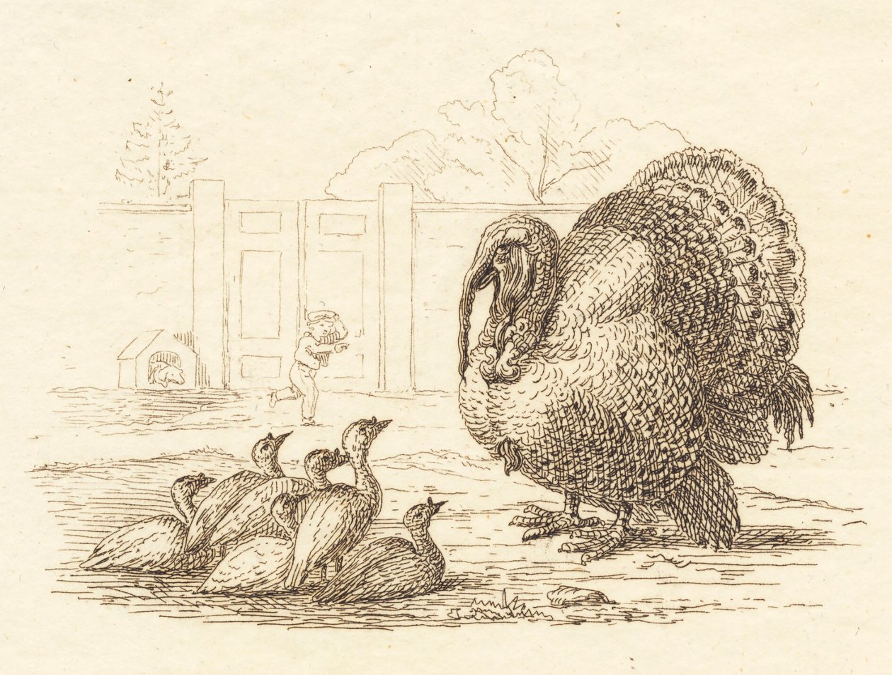 Illustration till "Halvhundra fabler för barn" av Hey av Martinus Rørbye