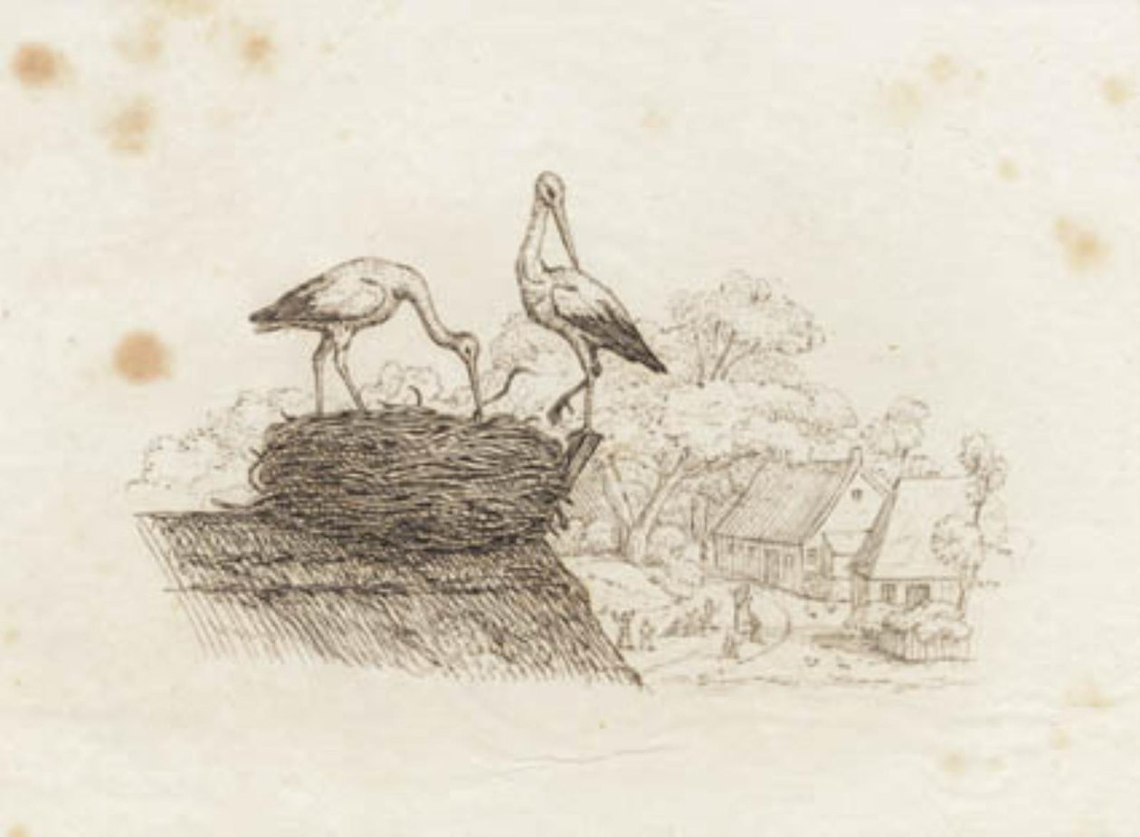 Illustration till "Halvhundra fabler för barn" av Hey av Martinus Rørbye