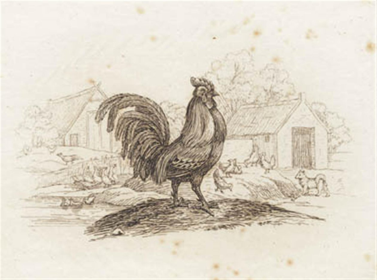 Illustration till "Halvhundra fabler för barn" av Hey av Martinus Rørbye