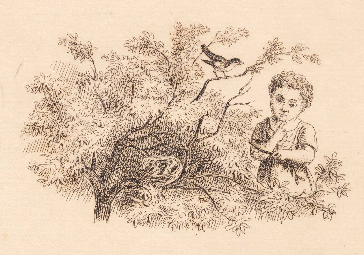 Illustration till "Halvhundra fabler för barn" av Hey av Martinus Rørbye