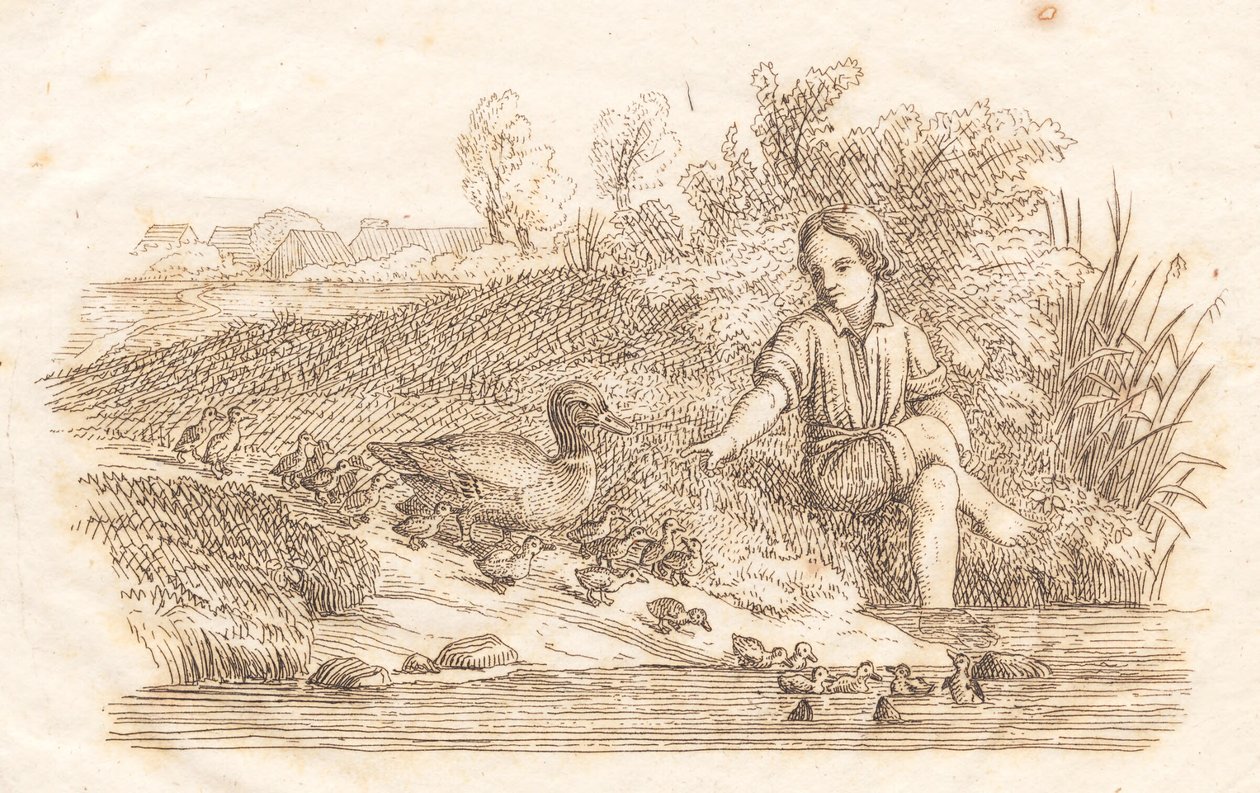 Illustration till "Halvhundra fabler för barn" av Hey av Martinus Rørbye
