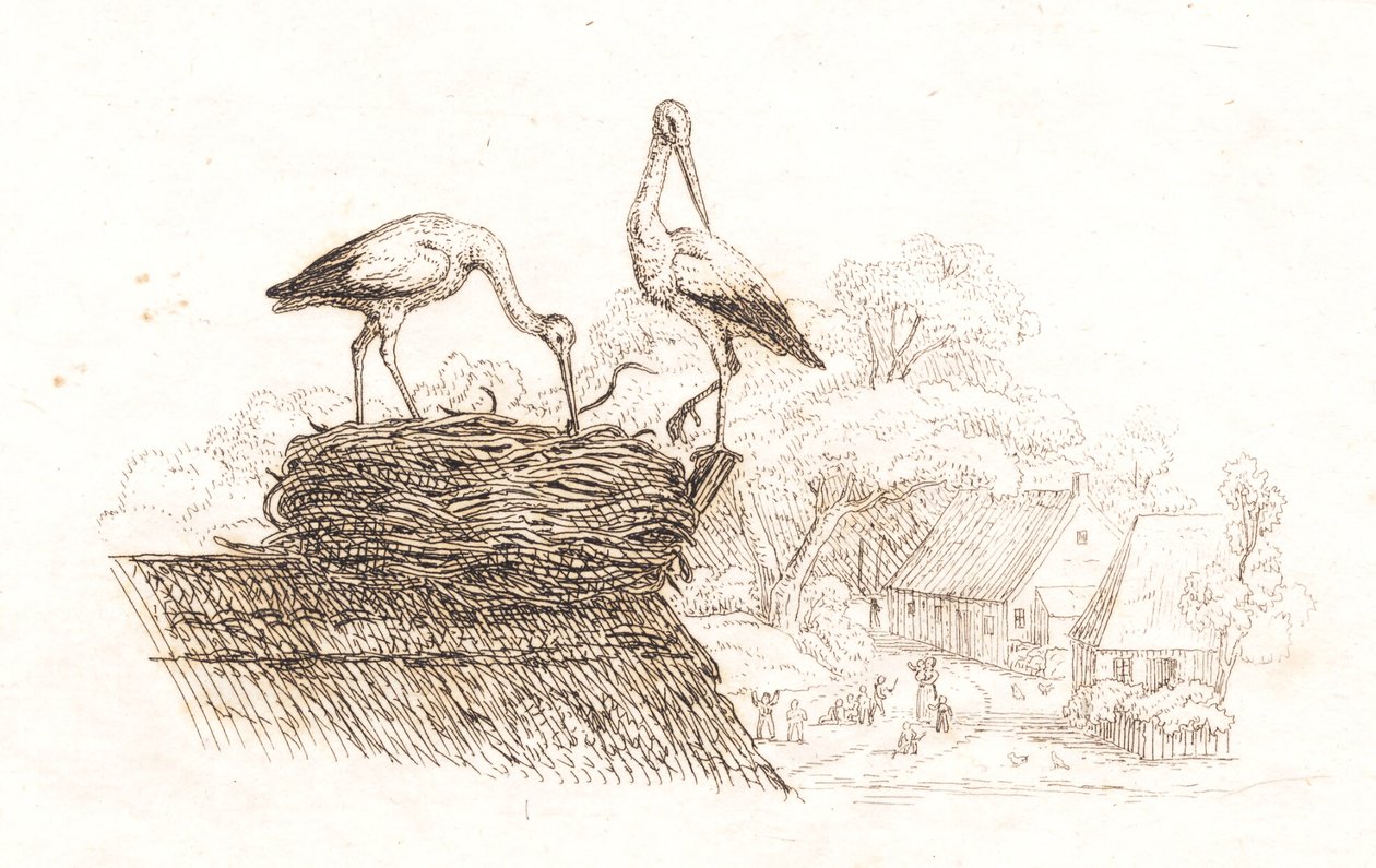Illustration till "Halvhundra fabler för barn" av Hey av Martinus Rørbye