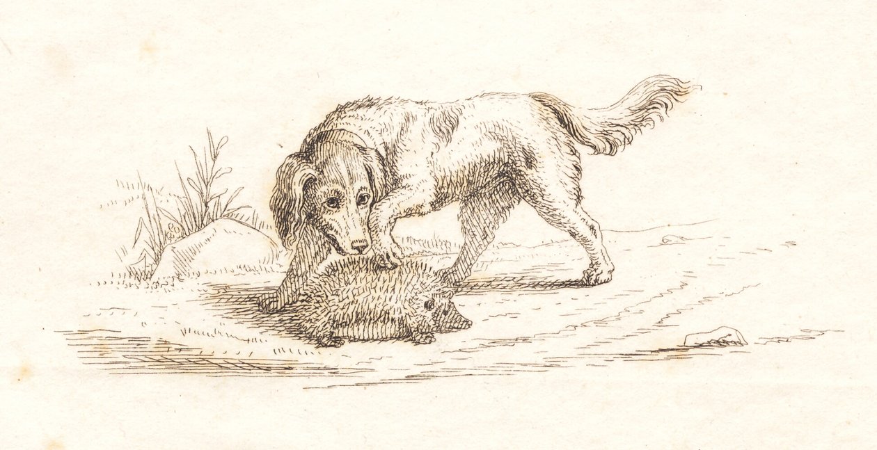Illustration till "Halvhundra fabler för barn" av Hey av Martinus Rørbye