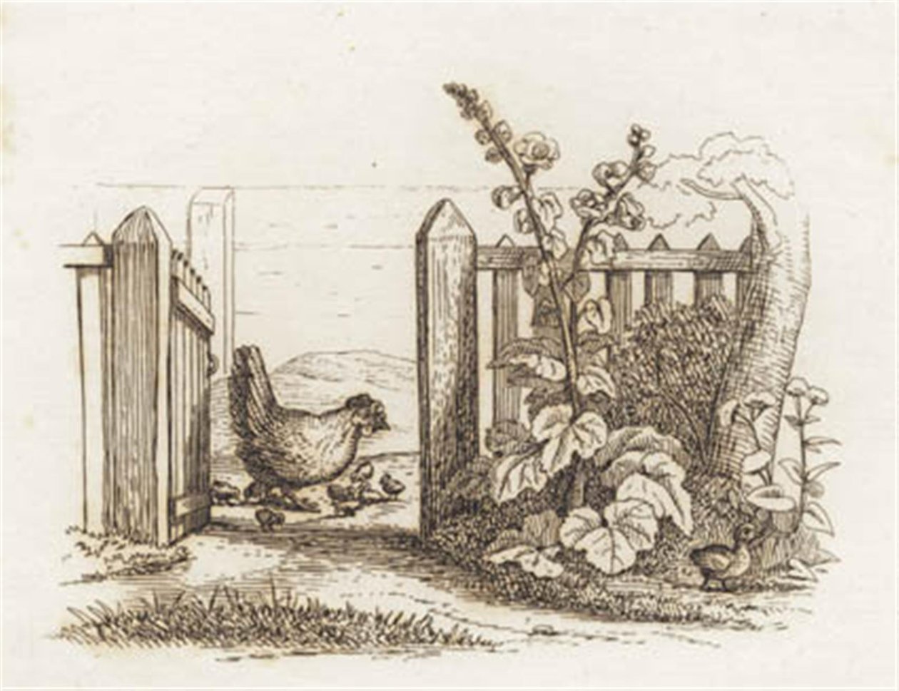 Illustration till "Halvhundra fabler för barn" av Hey av Martinus Rørbye