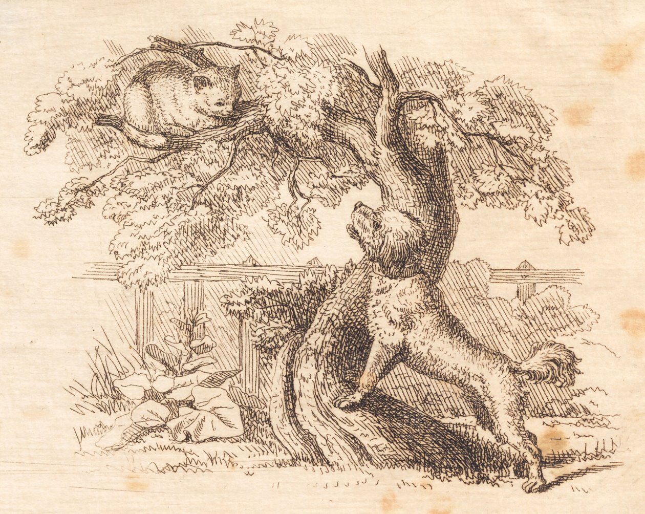 Illustration till "Halvhundra fabler för barn" av Hey av Martinus Rørbye