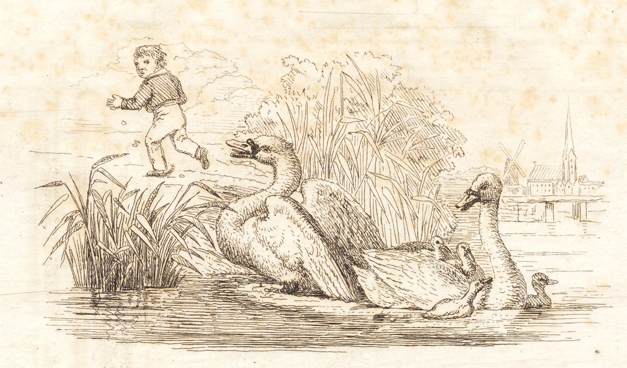 Illustration till "Halvhundra fabler för barn" av Hey av Martinus Rørbye
