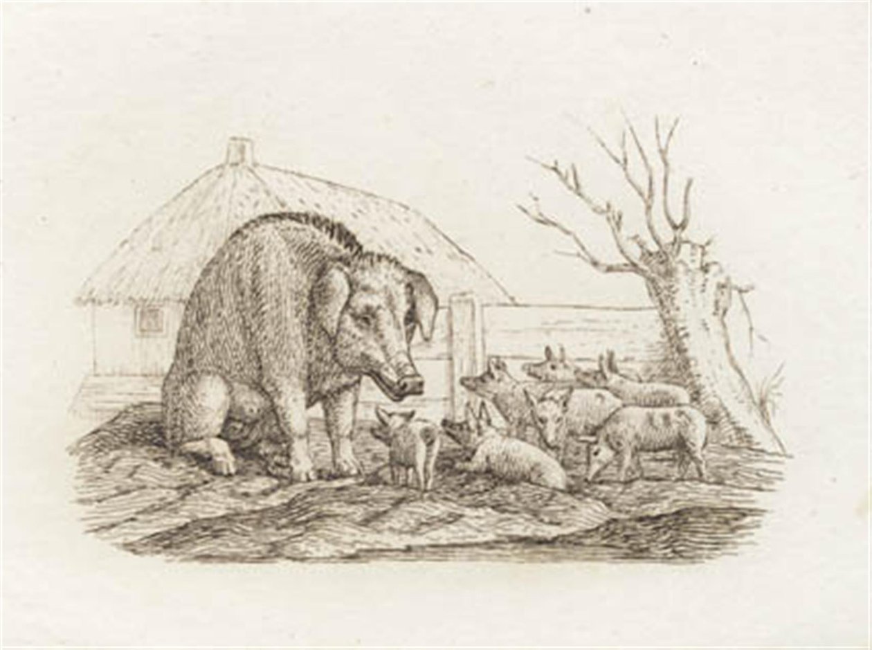 Illustration till "Halvhundra fabler för barn" av Hey av Martinus Rørbye
