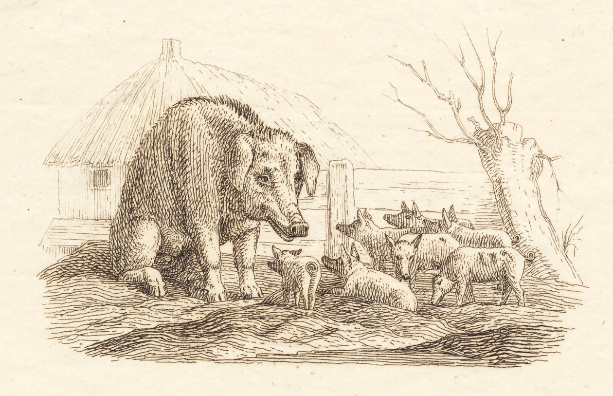 Illustration till "Halvhundra fabler för barn" av Hey av Martinus Rørbye
