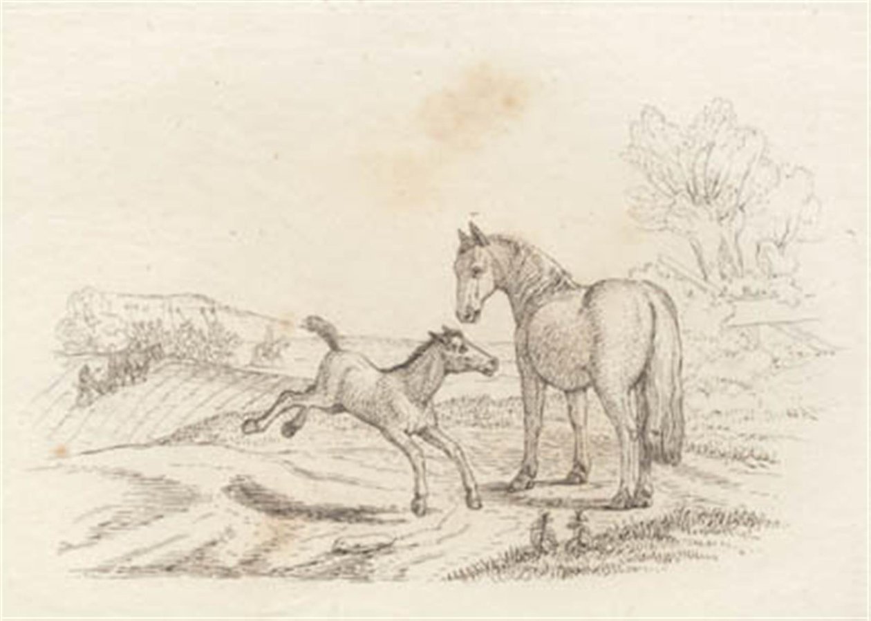 Illustration till "Halvhundra fabler för barn" av Hey av Martinus Rørbye
