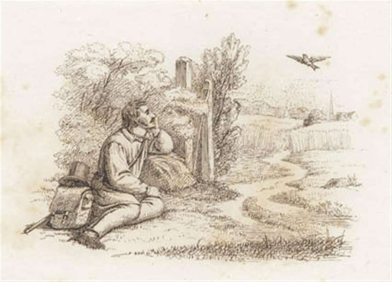 Illustration till "Halvhundra fabler för barn" av Hey av Martinus Rørbye