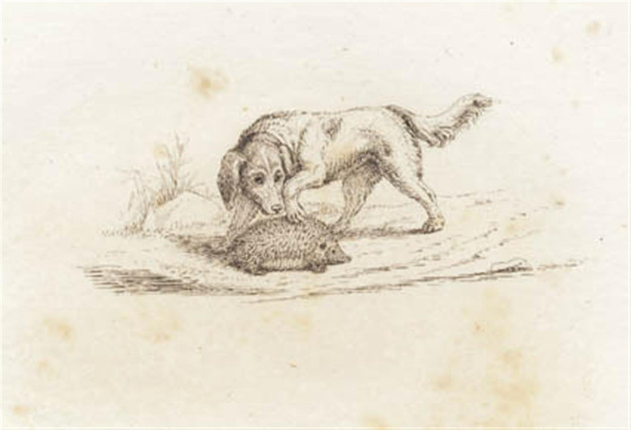 Illustration till "Halvhundra fabler för barn" av Hey av Martinus Rørbye