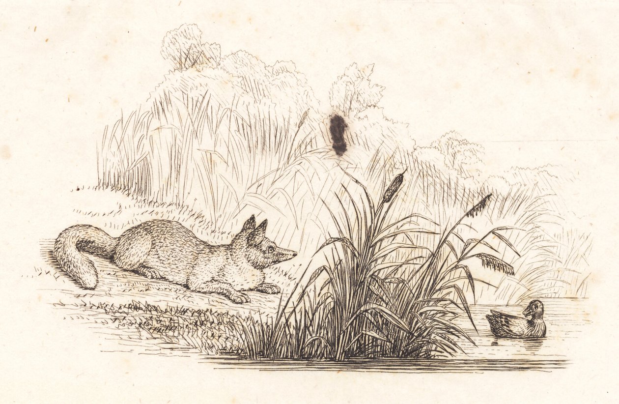 Illustration till "Halvhundra fabler för barn" av Hey av Martinus Rørbye