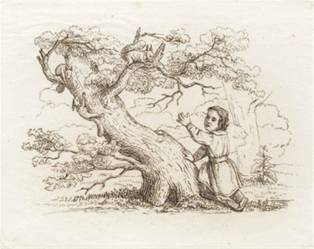 Illustration till "Halvhundra fabler för barn" av Hey av Martinus Rørbye