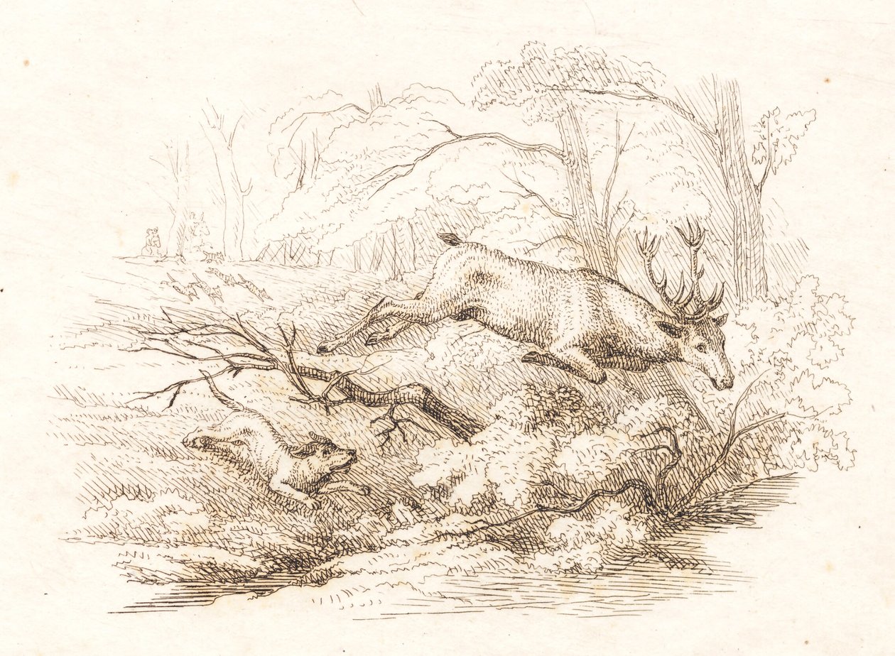 Illustration till "Halvhundra fabler för barn" av Hey av Martinus Rørbye