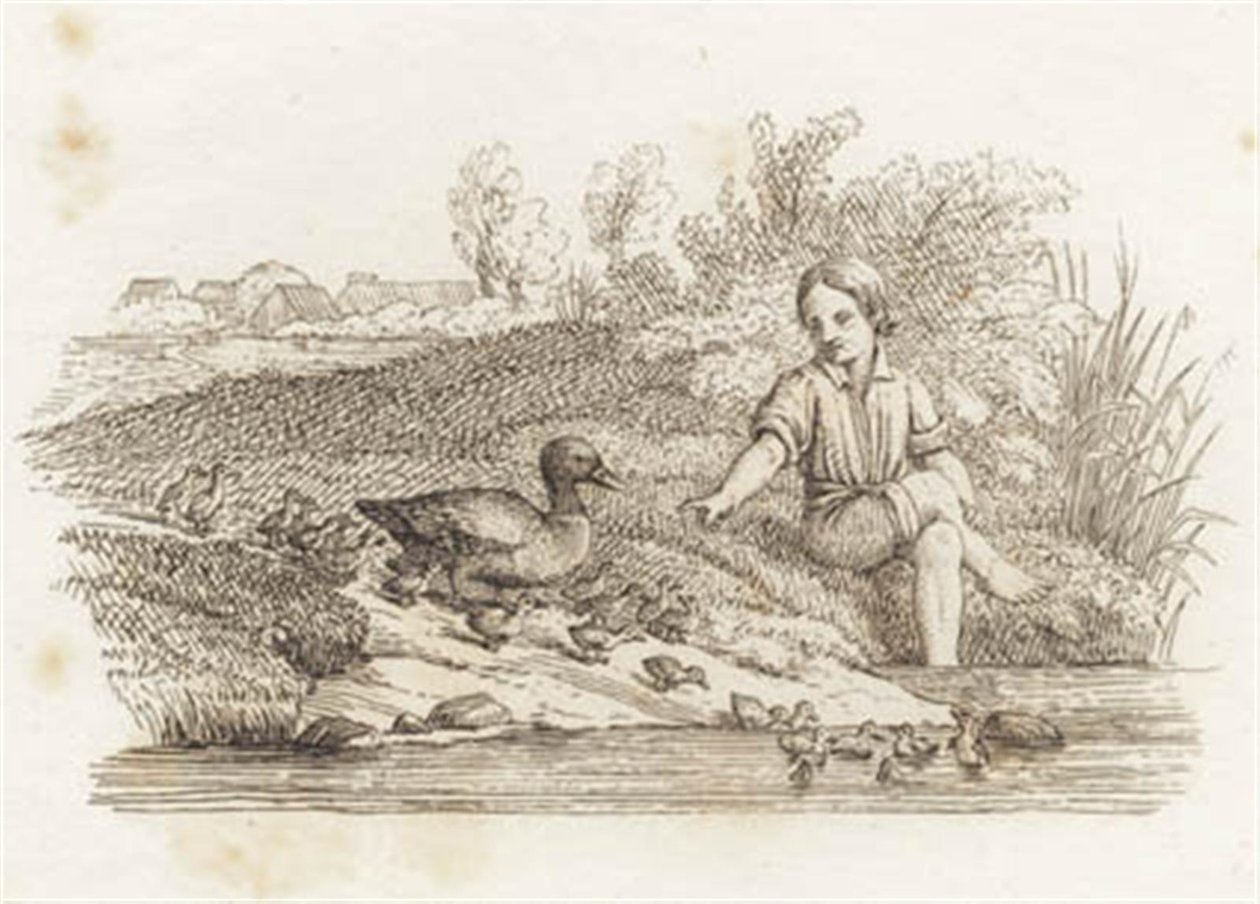 Illustration till "Halvhundra fabler för barn" av Hey av Martinus Rørbye