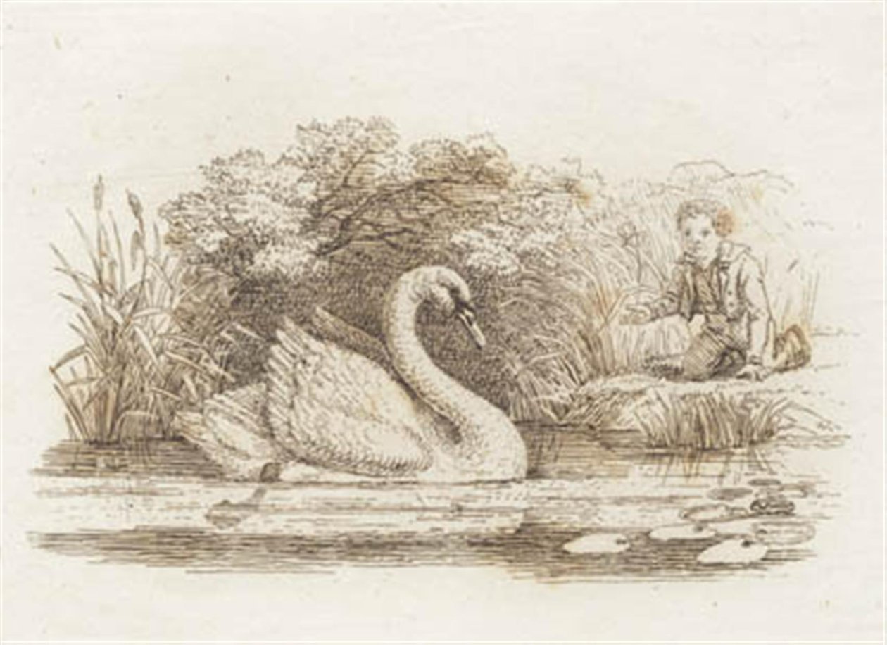 Illustration till "Halvhundra fabler för barn" av Hey av Martinus Rørbye