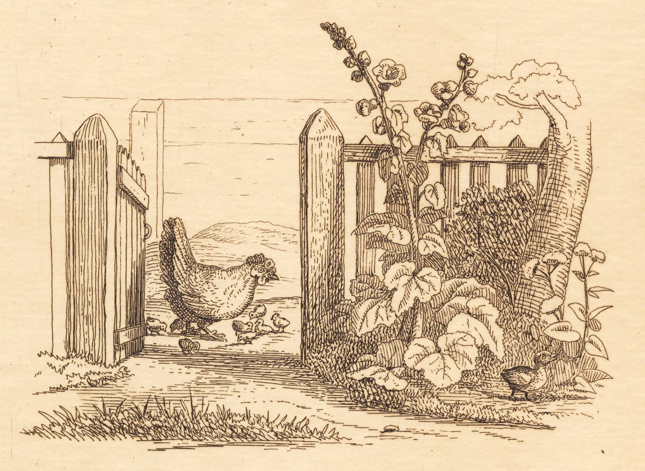 Illustration till "Halvhundra fabler för barn" av Hey av Martinus Rørbye