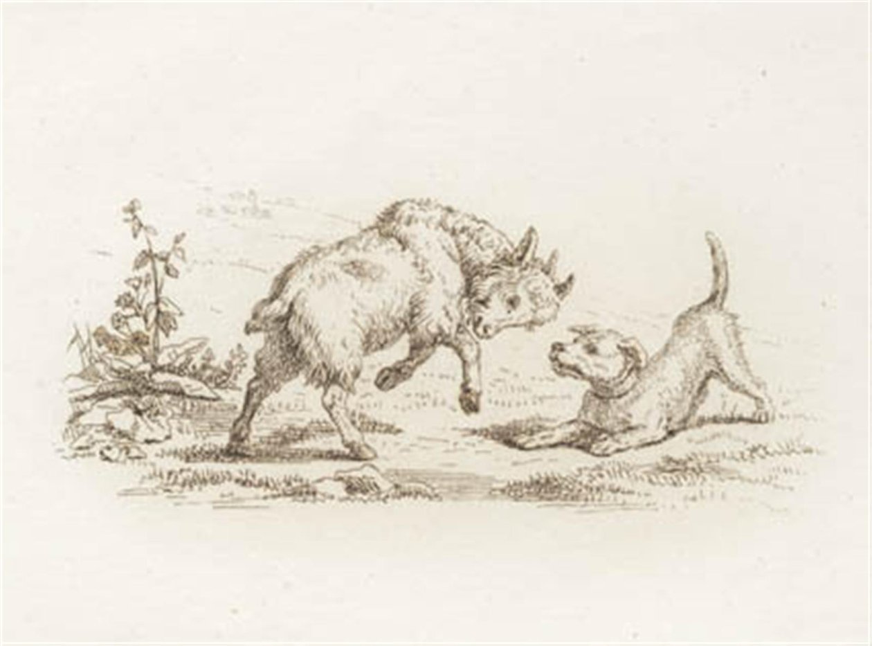 Illustration till "Halvhundra fabler för barn" av Hey av Martinus Rørbye
