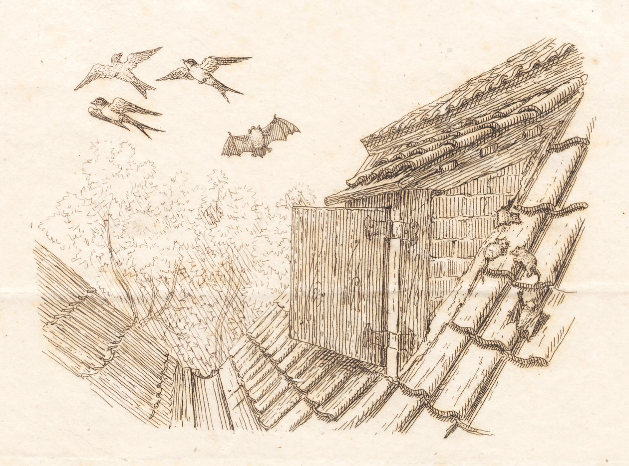 Illustration till "Halvhundra fabler för barn" av Hey av Martinus Rørbye