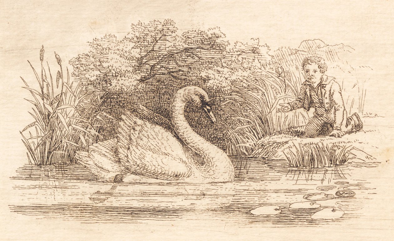 Illustration till "Halvhundra fabler för barn" av Hey av Martinus Rørbye