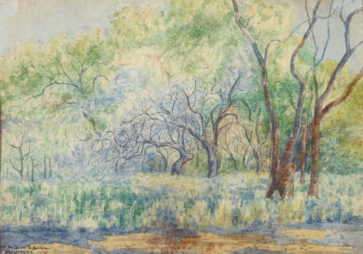 Paisaje av Martín Malharro