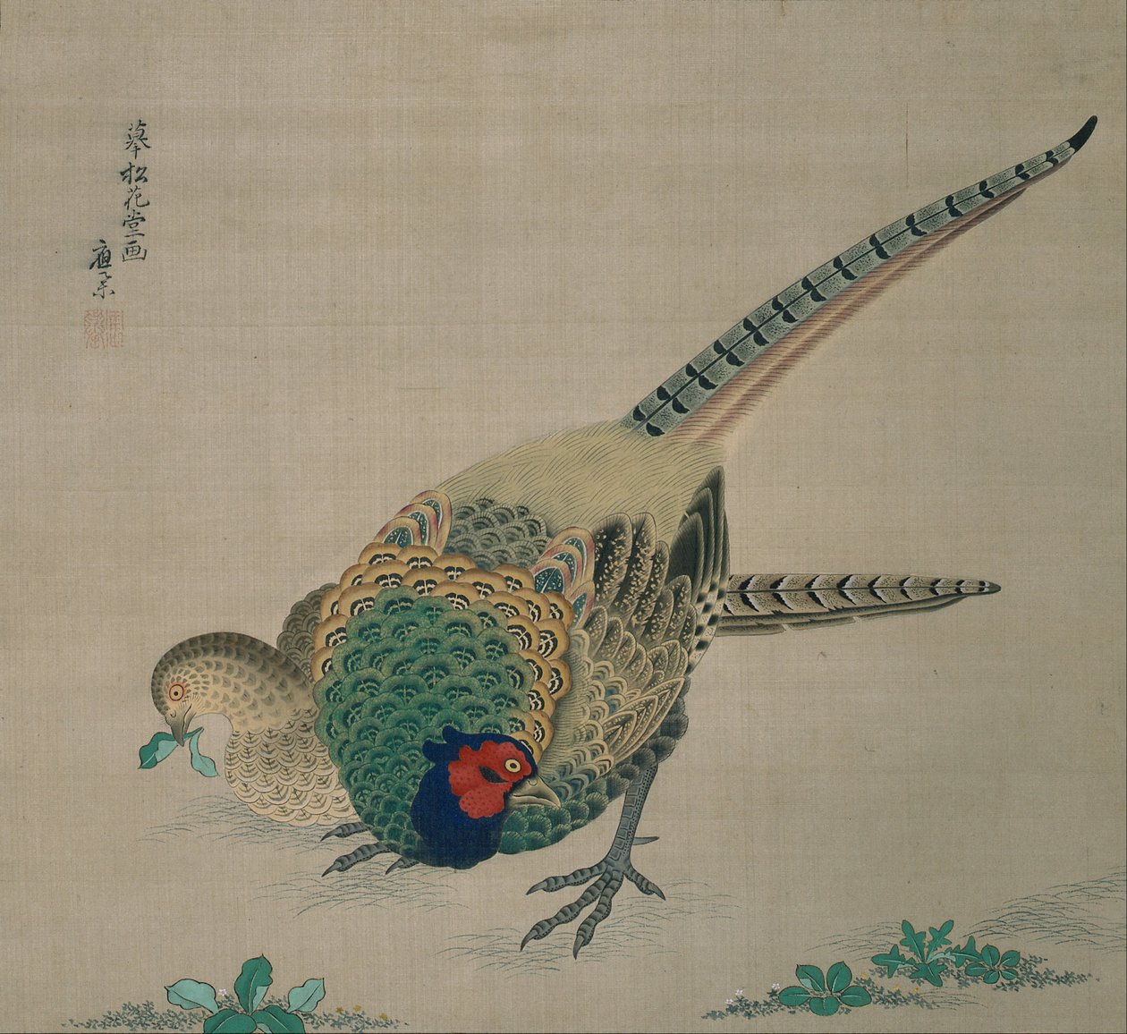 Hanging Scroll (pair of pheasants) av Maruyama Okyo
