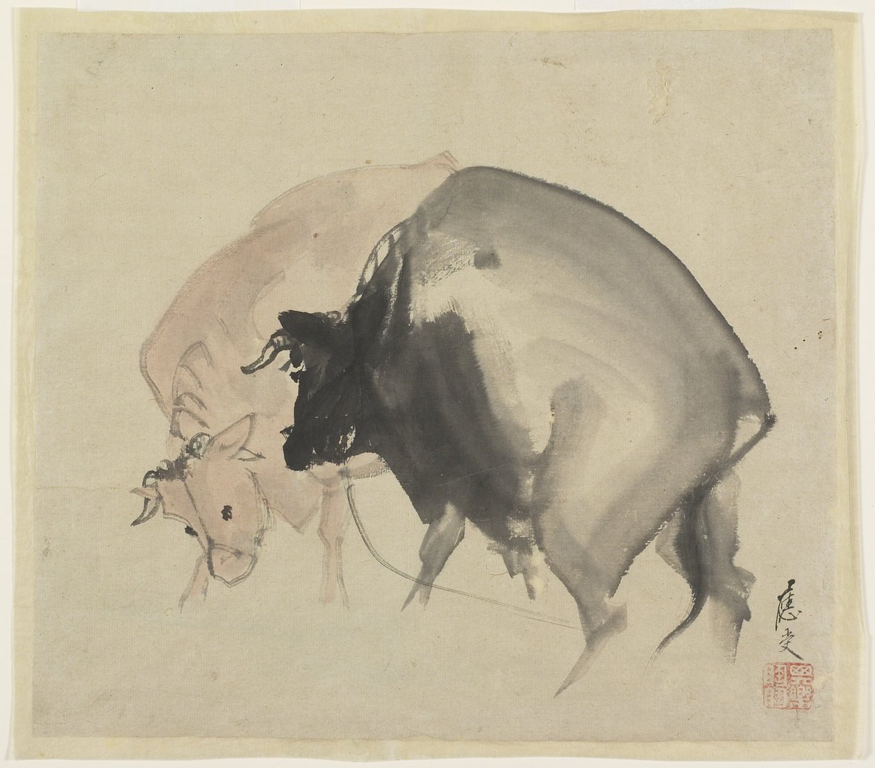 Two Bulls, ca 1810 (bläck och färger på papper) av Maruyama Oju