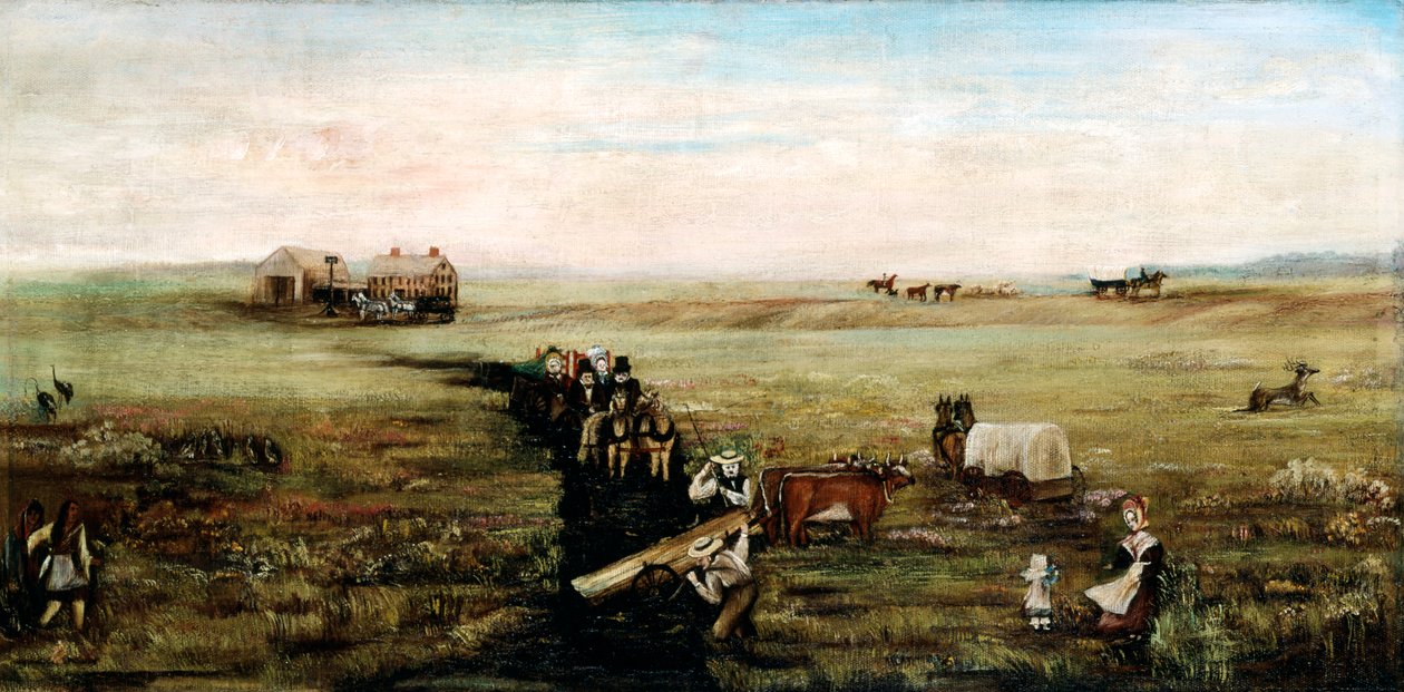 Pioneer Perseverance av Mary J. Wood