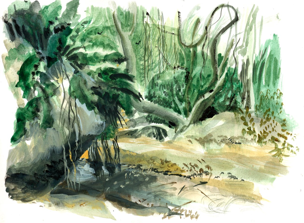 Djungel: Tayrona, Colombia av Mary Kuper
