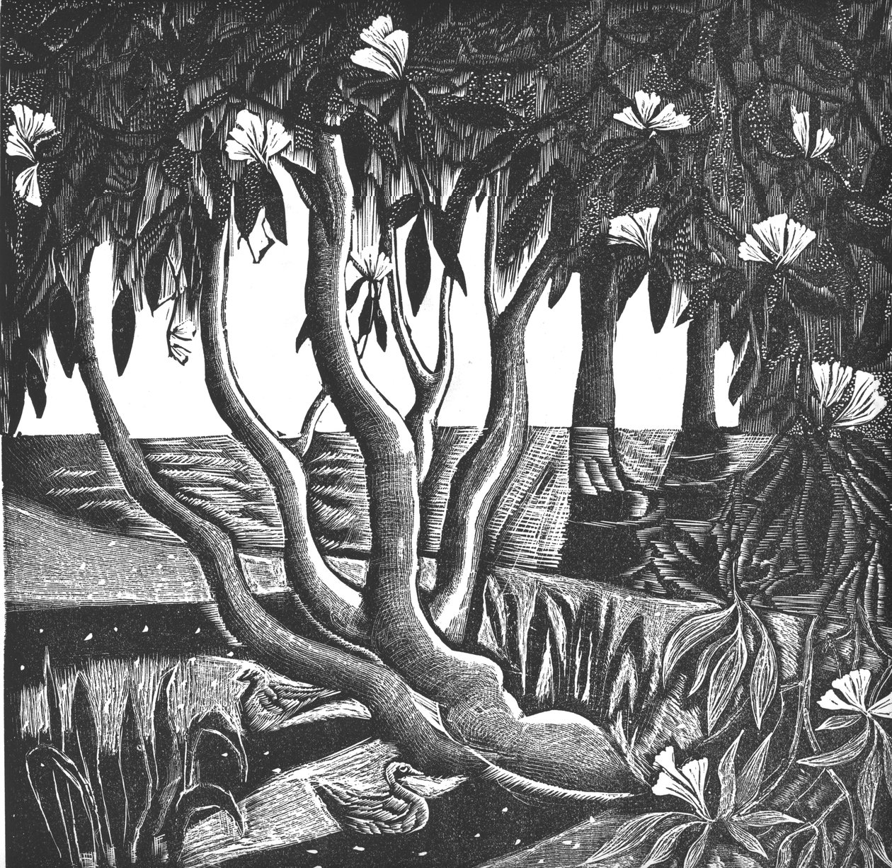 Rhododendron, Holland Park, 2006 (vinylgravyr) av Mary Kuper