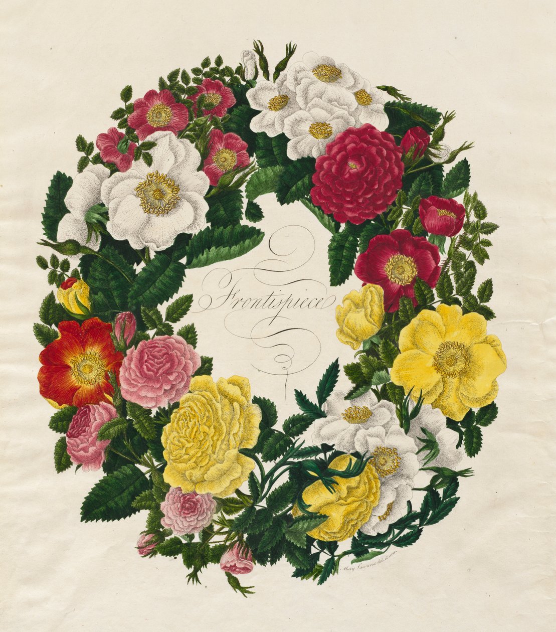En krans av rosor, 1799. av Mary Lawrence