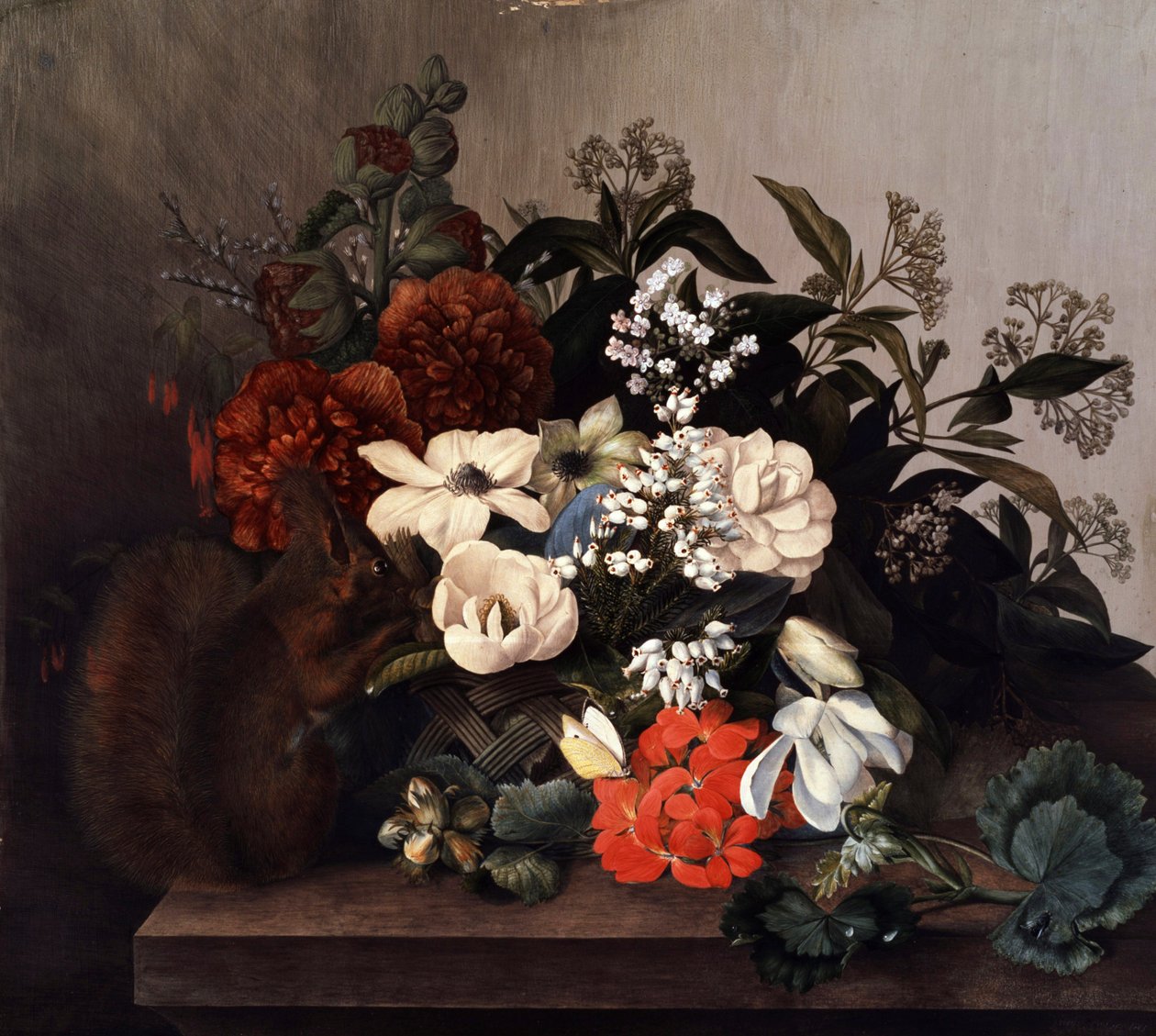 Stilleben med ekorre och pelargoner. Målning av Mary Lawrence (född på 1700-talet) Privat samling. av Mary Lawrence
