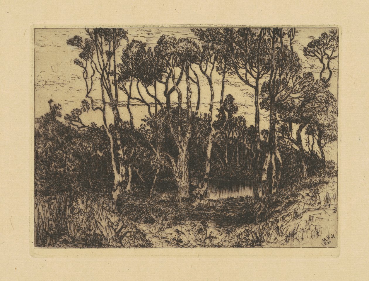 Ensamhet av Mary Nimmo Moran