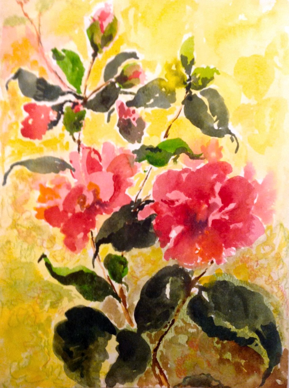 Camelias av Mary Smith