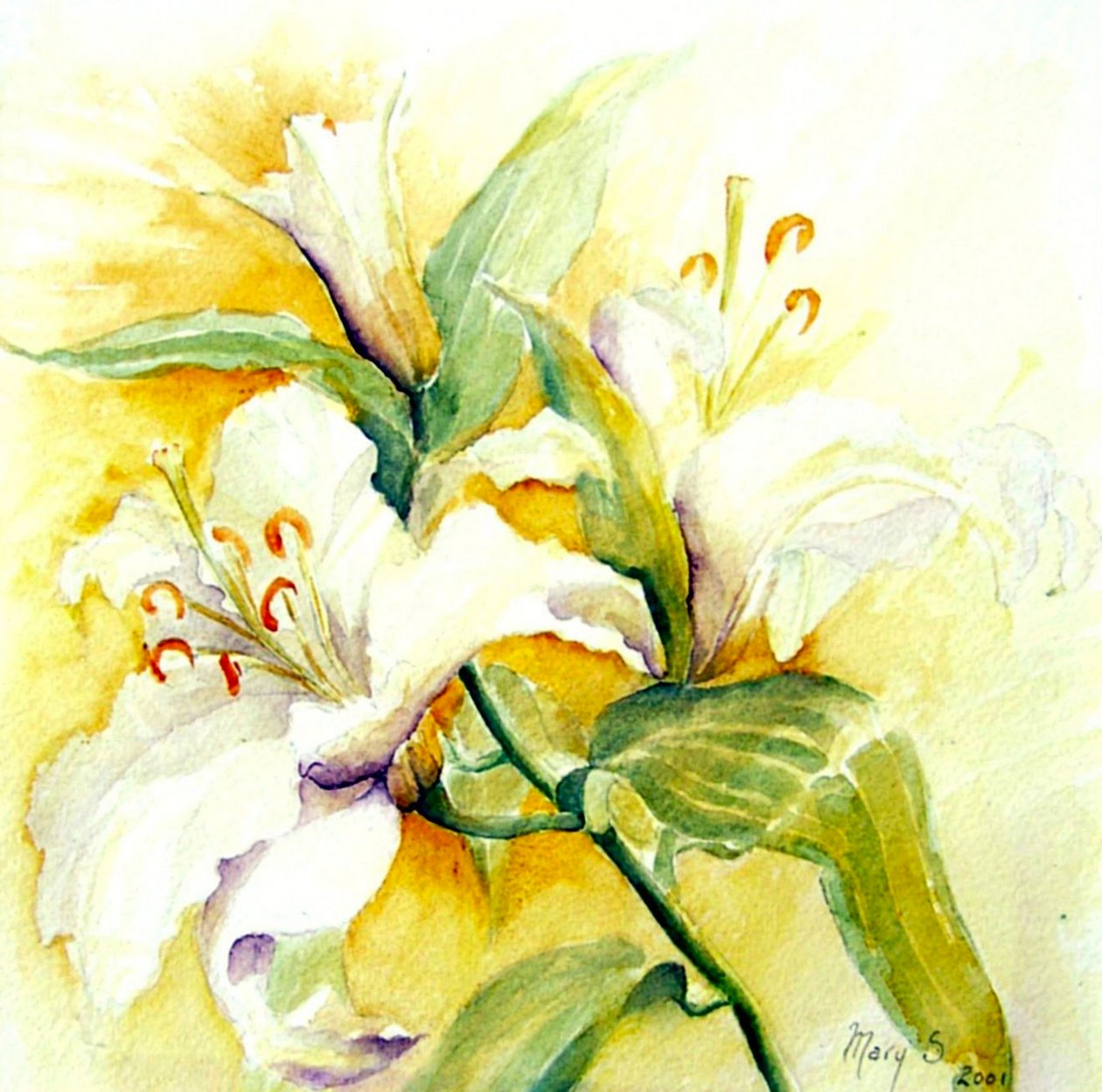 vita liljor av Mary Smith