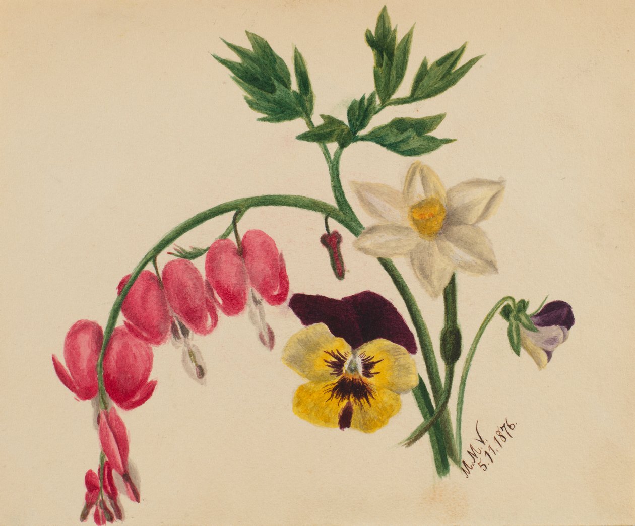 Utan titel - Blandade blommor, 1876. av Mary Vaux Walcott