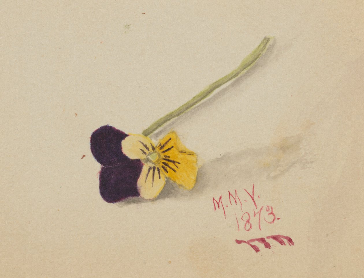 Utan titel (pensé) av Mary Vaux Walcott