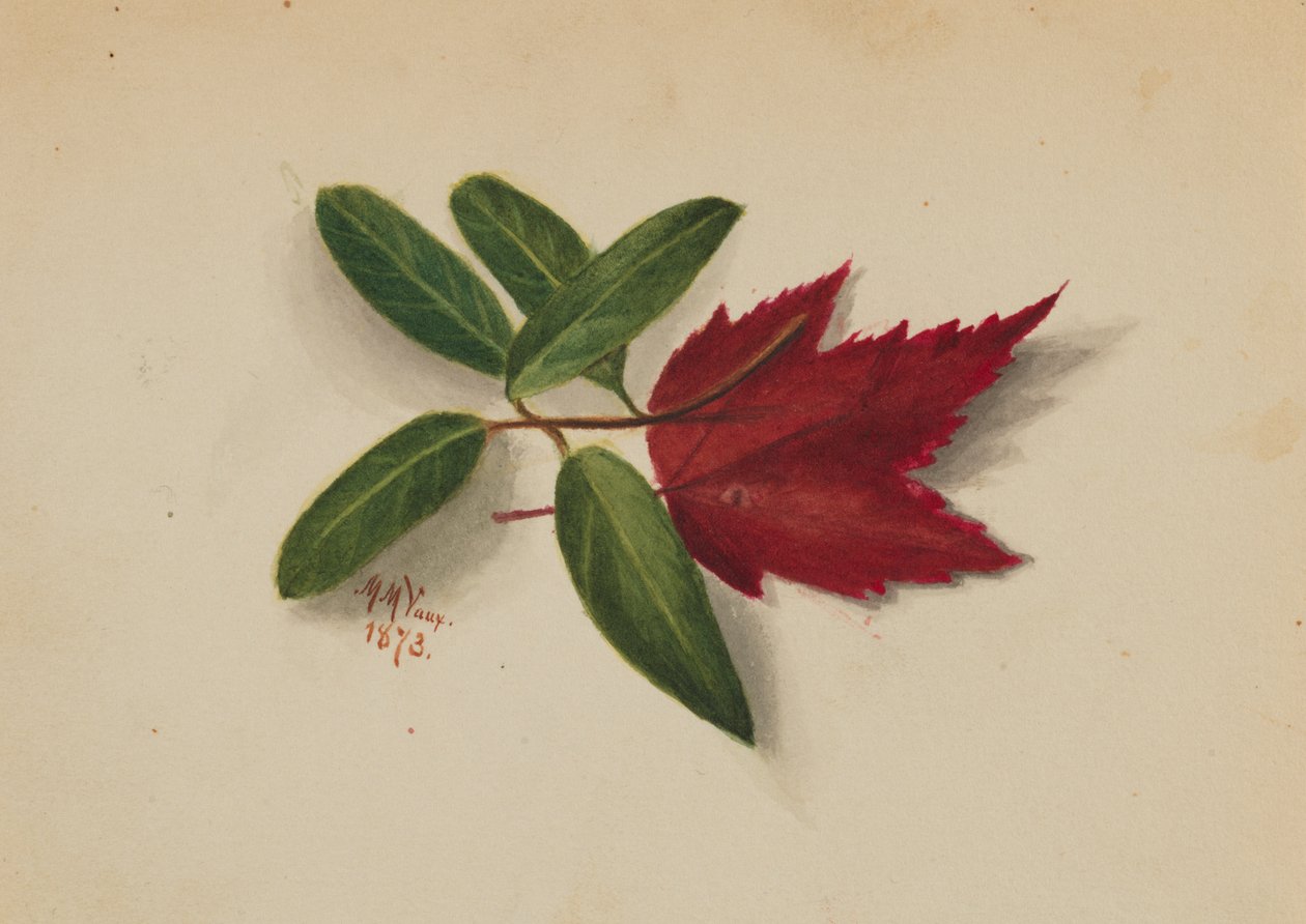 Utan titel, 1873. av Mary Vaux Walcott