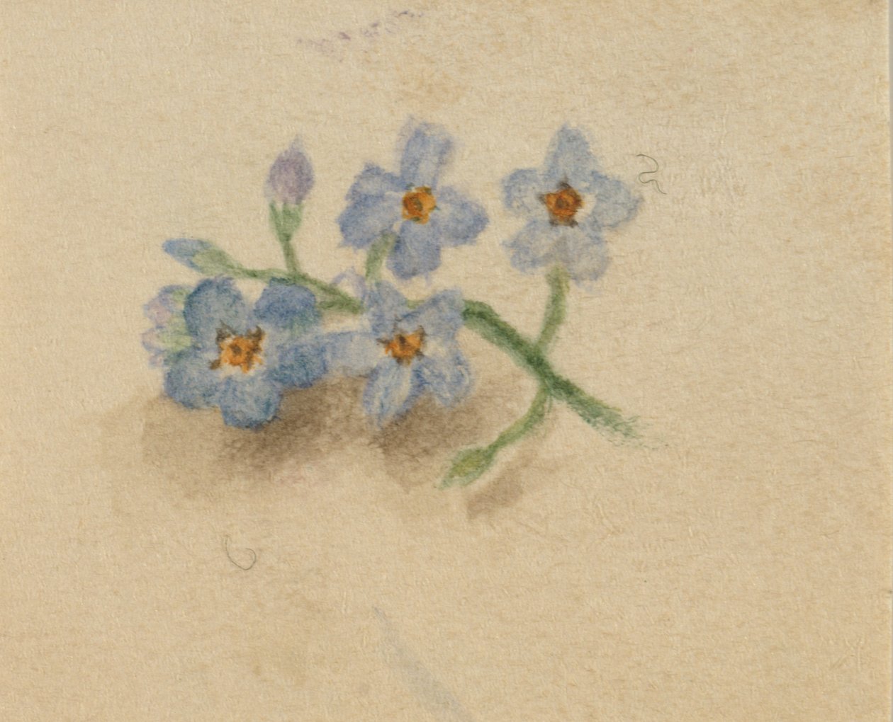 Utan titel, 1874. av Mary Vaux Walcott