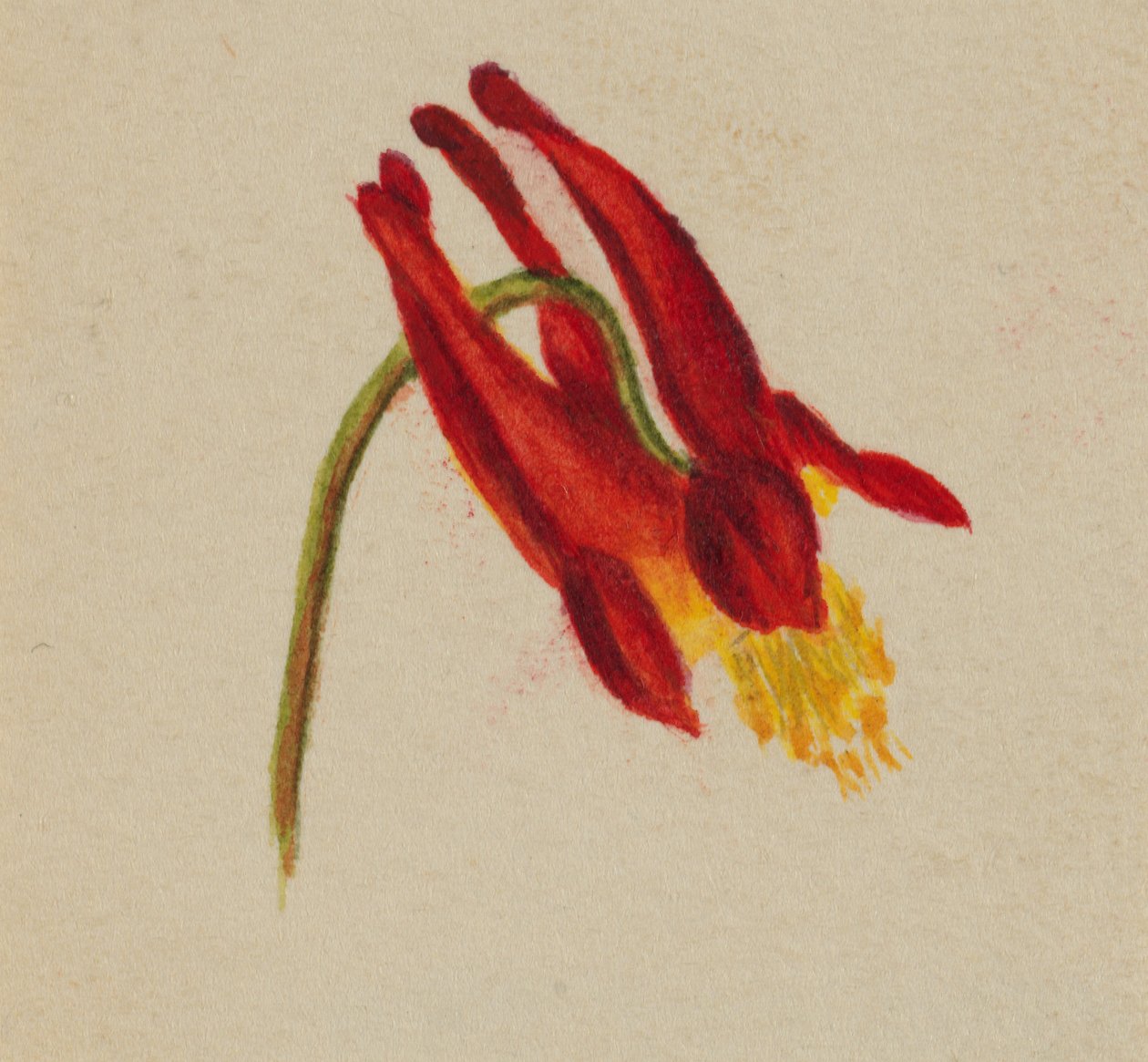 Utan titel, ca. 1874. av Mary Vaux Walcott