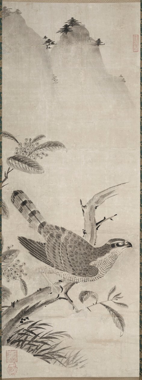 Hawk, mitten av 1500-talet. av Masayoshi Fujiwara