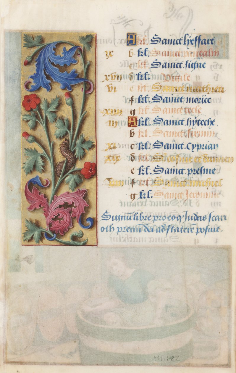 MS Lewis EM 11:22v Blomtavla med akantus, rosa och larv, från Ludvig XII:s timmar, 1498-99 (tempera och guld på pergament) av Master Claude de France
