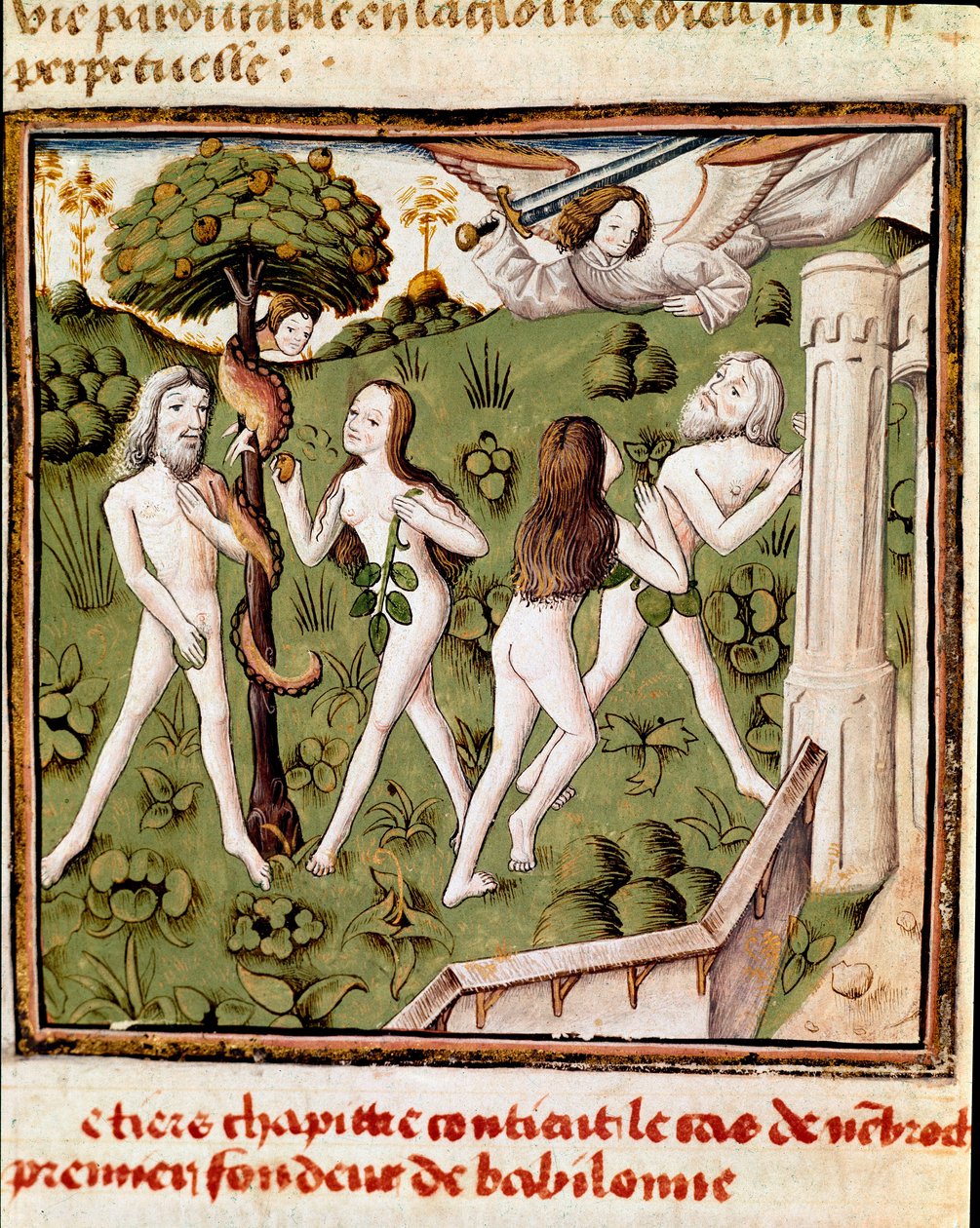 Adam och Eva plockar den försvarade frukten Miniatyr av mästaren av damernas mästare (1400-talet) från manuskriptet "" Des hommes illustres"" av Giovanni Boccaccio (Jean Boccaccio) (1313-1375). 1400-talet. Carpentras. Inguimbertins bibliotek av Master of the Champion des Dames