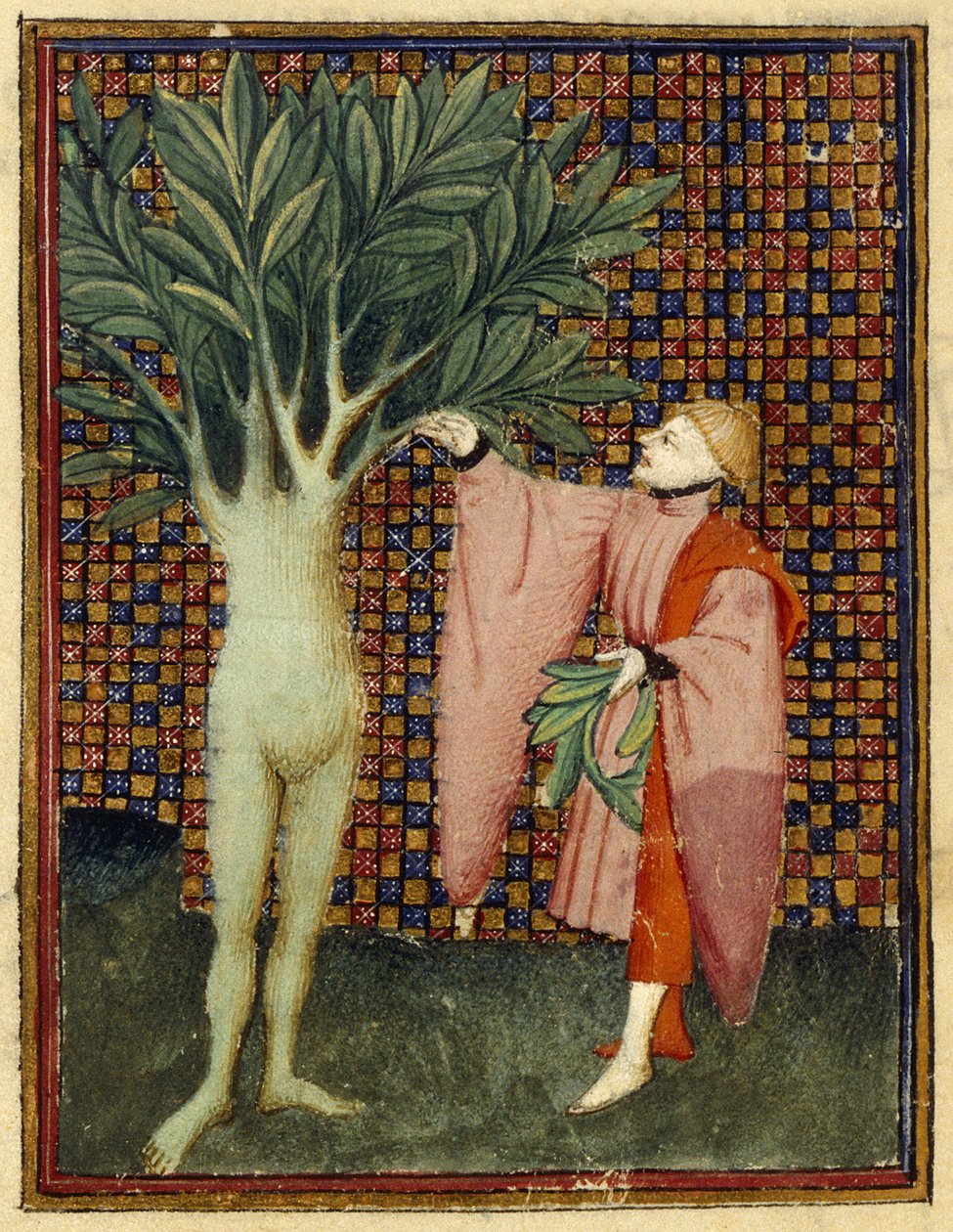 Apollo och Daphne av Master of the Cité des Dames