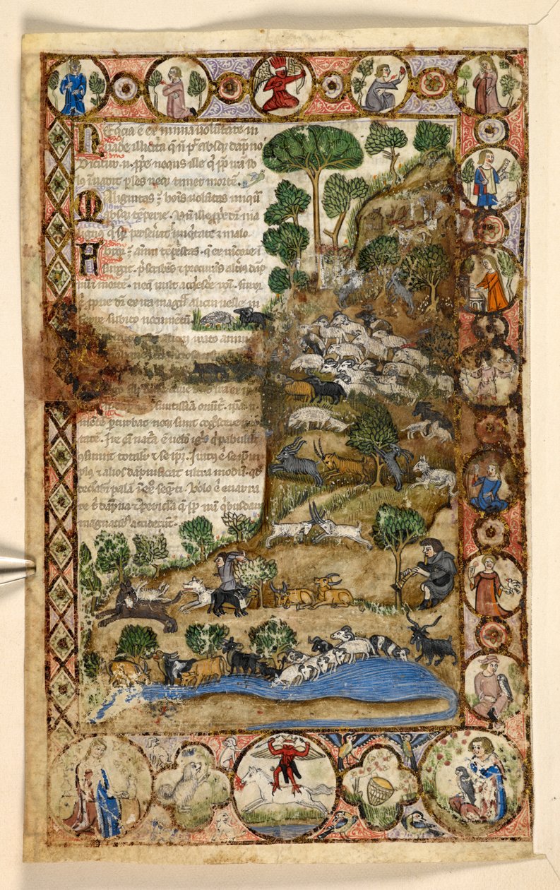 Lägg till. 28841, f.1v: Geometriska helsideskanter av romboider, rundlar och quatrefoils bebodda av djur och figurativa scener: Herdar som vakar över får och getter och slåss mot vargar, en röd djävul som står till häst i gränsen, från en godbit av Master of the Cocharelli Codex